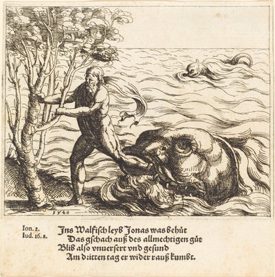 Jonás es liberado de la ballena de Augustin Hirschvogel