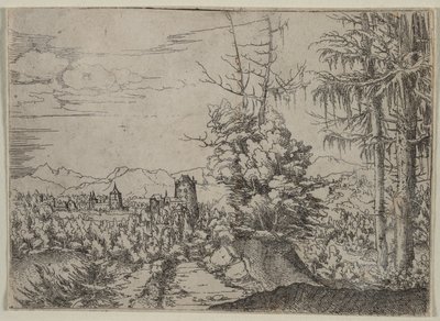  de Augustin Hirschvogel