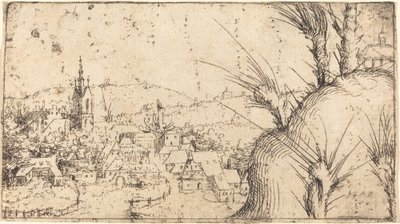 Paisaje con una ciudad a la izquierda de Augustin Hirschvogel