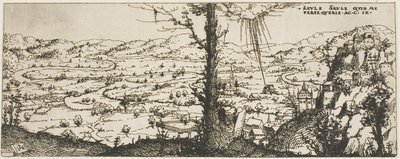 Paisaje con un Árbol en el Centro del Primer Plano de Augustin Hirschvogel