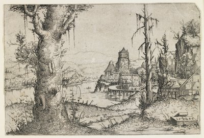 Árbol Grande y Castillo en un Lago de Augustin Hirschvogel