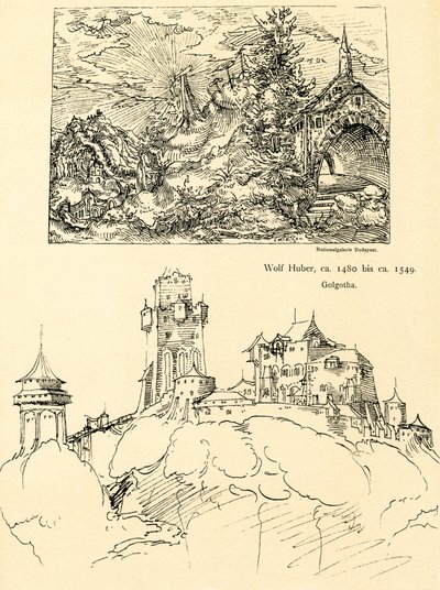 Estudio de la naturaleza de Augustin Hirschvogel