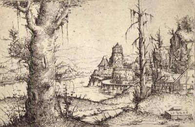 Paisaje fluvial con un árbol robusto de Augustin Hirschvogel