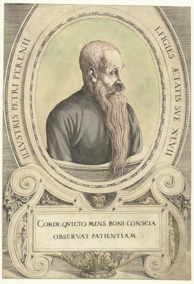 Hay un retrato de Peter Perényi de Augustin Hirschvogel