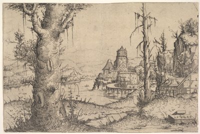 Paisaje fluvial con gran árbol a la izquierda de Augustin Hirschvogel