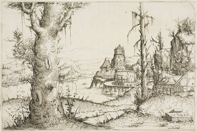 Paisaje fluvial con gran árbol en primer plano de Augustin Hirschvogel