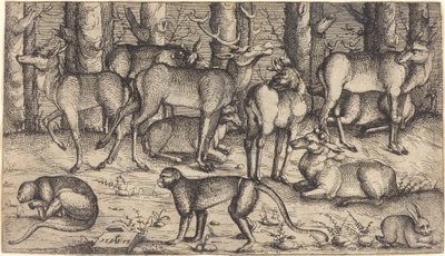 Ciervos en el bosque de Augustin Hirschvogel