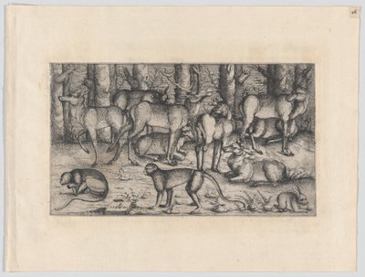 Ciervos en el Bosque, 1545 de Augustin Hirschvogel
