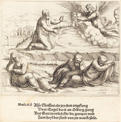 La agonía en el jardín de Augustin Hirschvogel