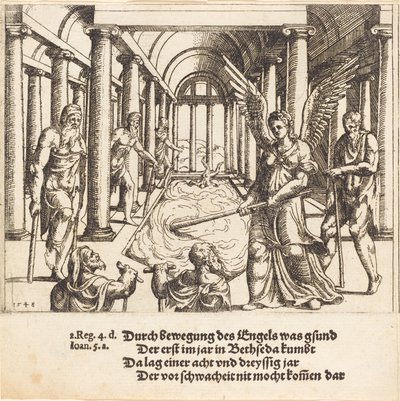 El ángel agitando la piscina de Betesda de Augustin Hirschvogel