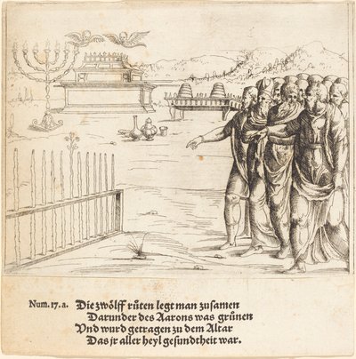 El Florecimiento de la Vara de Aarón de Augustin Hirschvogel