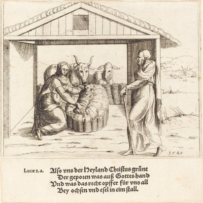 La Natividad de Augustin Hirschvogel