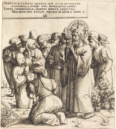 La resurrección de Lázaro de Augustin Hirschvogel