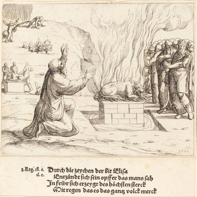 Los sacrificios rivales de Elías y los sacerdotes de Baal de Augustin Hirschvogel
