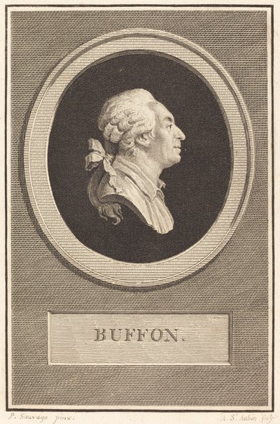 Buffon de Augustin de Saint Aubin after Piat Joseph Sauvage