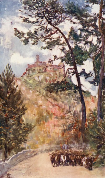 Cintra, Palacio de Verano del Rey de Portugal (litografía en color) de Augustine Fitzgerald