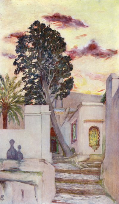 Entrada a la mezquita de Sidi, Abd-Er-Rahman (litografía en color) de Augustine Fitzgerald