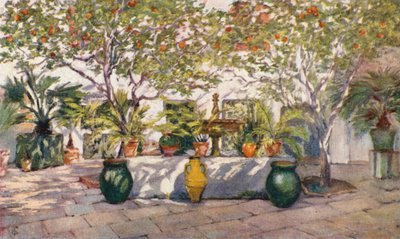 Villa Caid Mahomed, residencia del Sr. Hay Newton, cónsul general en Argel (litografía en color) de Augustine Fitzgerald