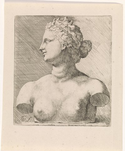 Busto de Venus de 