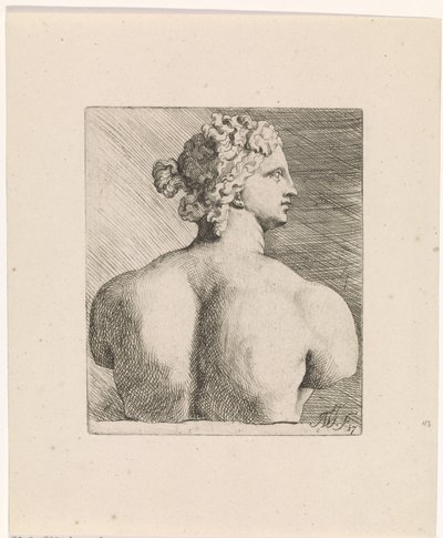 Busto de Venus de 