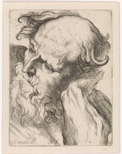 Cabeza de anciano (José) Estudios para un libro de dibujo a partir de esculturas y figuras clásicas de Anthony van Dyck (título de la serie) de Augustinus Terwesten (I)