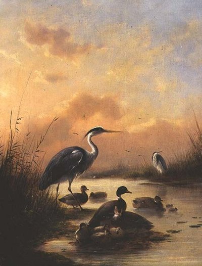Una familia de ánades reales y dos garzas de Augustus Knip