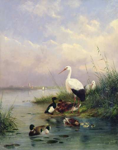 Una familia de ánades reales, dos cigüeñas y una familia de patos moñudos de Augustus Knip