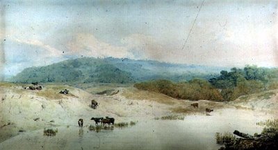 Vista en Yorkshire, río y ganado de Augustus Wall Callcott