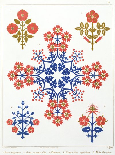 Diseño de papel tapiz con motivo de violeta, iris y tulipán, impreso por M. y N. Hanhart de Augustus Welby Northmore Pugin