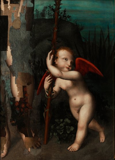 Cupido con un mirto, antes de 1593 de Aurelio Luini
