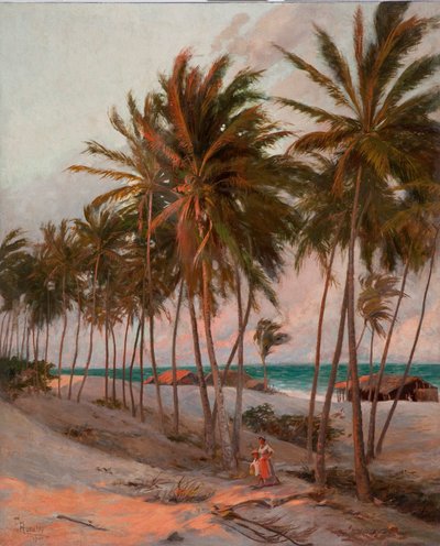Playa en Fortaleza de Aurélio Figueiredo