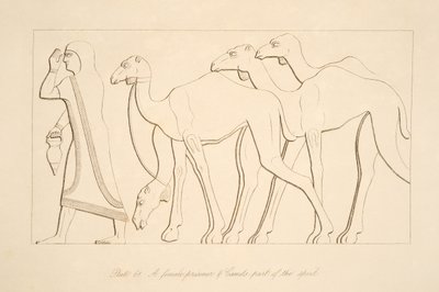Una prisionera y un camello, ilustración de Monumentos de Nínive, 1849 de Austen Henry Layard