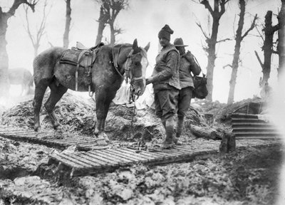 Un caballo de artillería utilizado para transportar municiones a los cañones y su conductor australiano no identificado en una pista de tablones entre Mametz y Montauban, diciembre de 1916 de Australian Photographer