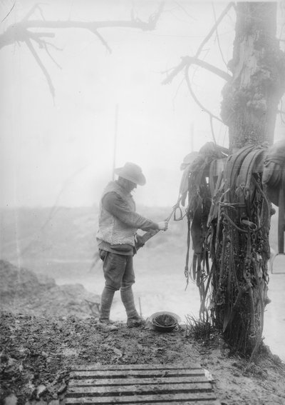 Un conductor de artillería australiano no identificado limpiando el barro del arnés de su equipo en un alojamiento cerca de Mametz, diciembre de 1916 de Australian Photographer