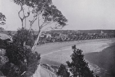 Sídney, NSW: Playa de Manly de Australian Photographer