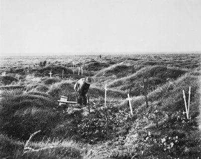 Vista de tumbas australianas dispersas a lo largo de la línea OG1 en el campo de batalla de Pozieres, 16 de septiembre de 1917 de Australian Photographer