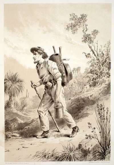 Buscador en el Camino, de La Historia de Australasia por David Blair, McGrady, Thomson y Niven, 1879 de Australian School