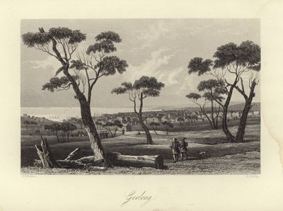 Geelong de Australian School