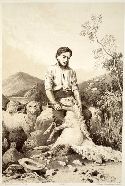 Esquila de ovejas, de La Historia de Australasia por David Blair, McGrady, Thomson y Niven, 1879 de Australian School