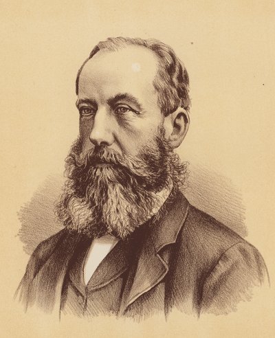 The Honourable Stephen C Brown, Esquire (litografía en color) de Australian School