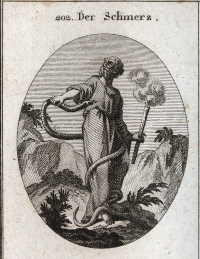 Alegoría del dolor. Una serpiente monstruosa rodea a quien, después de atar sus pies, sube por su cuerpo e intenta morder su corazón. Ella sostiene una antorcha que aún humea, lo que significa que el abatimiento inducido por el dolor apaga el fuego del alm de Austrian School