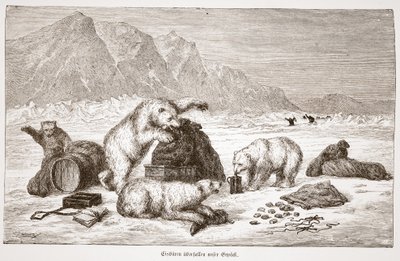 Eisbären überfallen unser Gepäck, pub. Viena 1876 de Austrian School