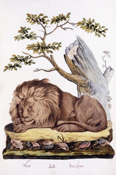 León, 1794 de Austrian School