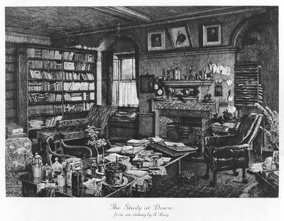 El estudio en Down, pub. 1882 (grabado) de Axel (after) Haig