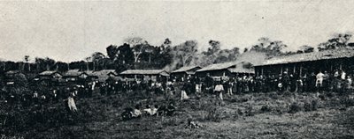 Colonia Italiana Fazenda Arindiuba, 1895 de Axel Frick