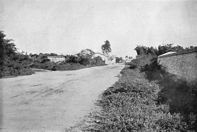 Colonia de S. Bernardo, Colonia de São Bernardo do Campo, 1895 de Axel Frick