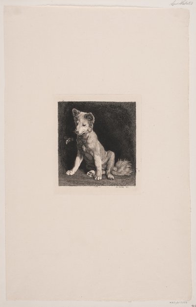 El perro y la abeja de Axel Helsted