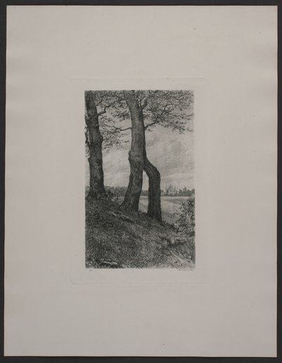 Danés: Los alrededores de Fredensborg de Axel Holm