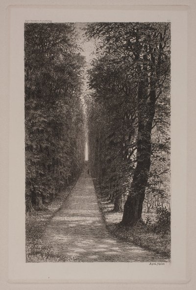 Danés: Sukkenes allé de Axel Holm