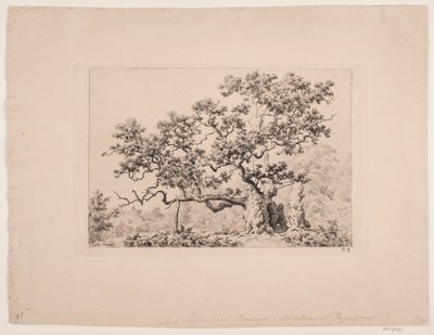 Kongeegen de Axel Schovelin